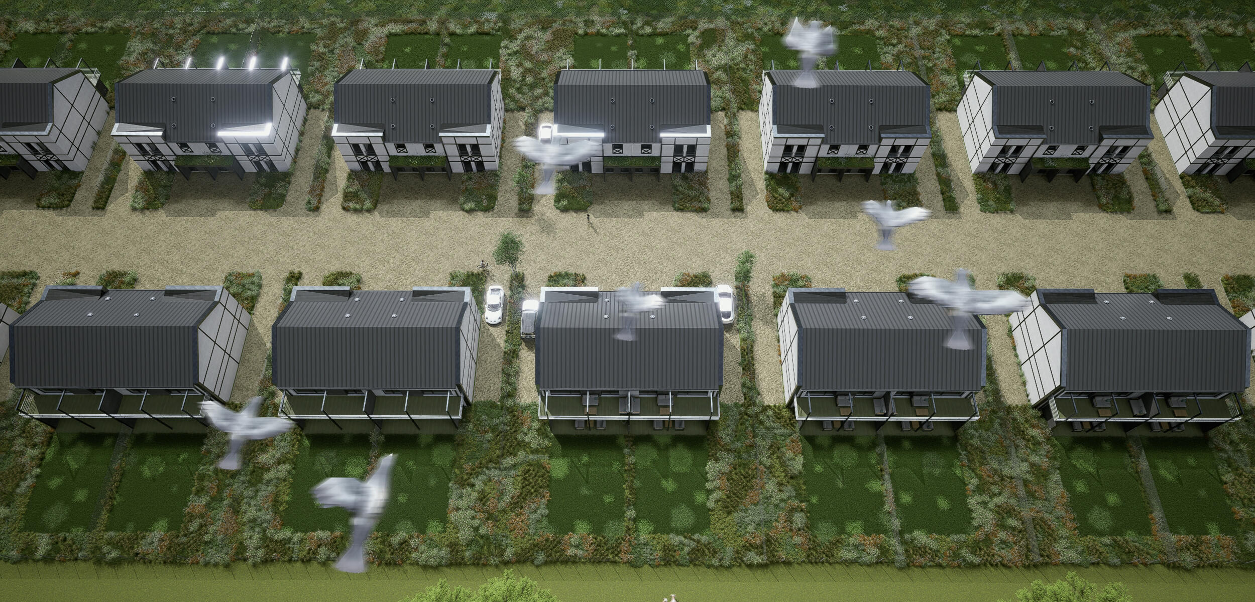 WIDOK 5